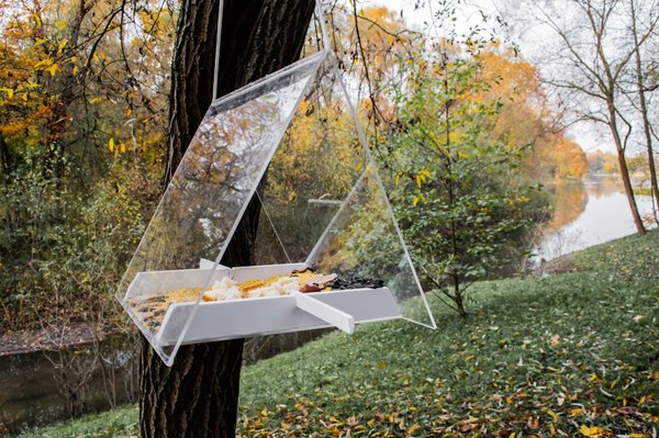 Mangeoire d'oiseaux transparente : le point sur les caractéristiques