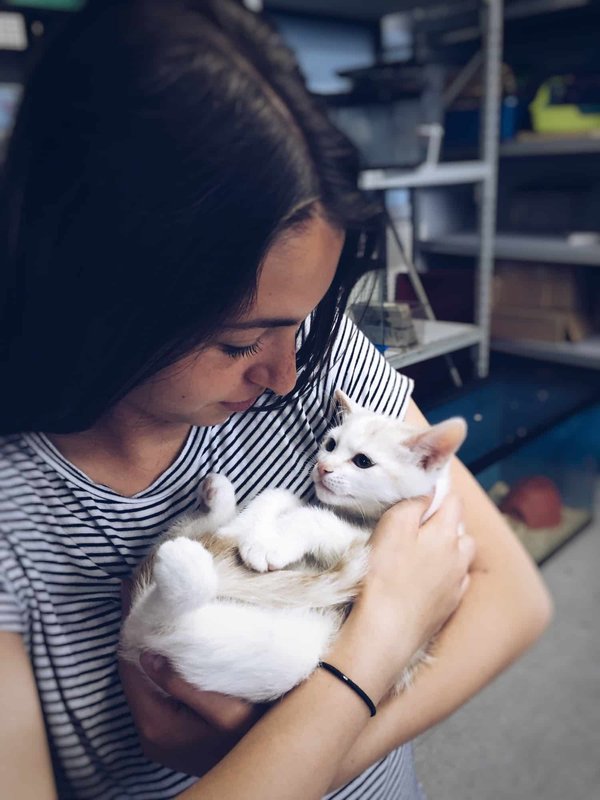 Les bonnes raisons d'adopter un animal de compagnie